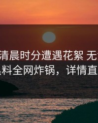 网红在清晨时分遭遇花絮 无法自持，黑料全网炸锅，详情直击