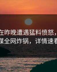 当事人在昨晚遭遇猛料愤怒，蜜桃传媒全网炸锅，详情速看