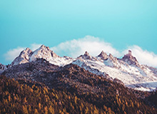 如果你也经历过，你会懂：前天凌晨的电话，让我彻底官宣