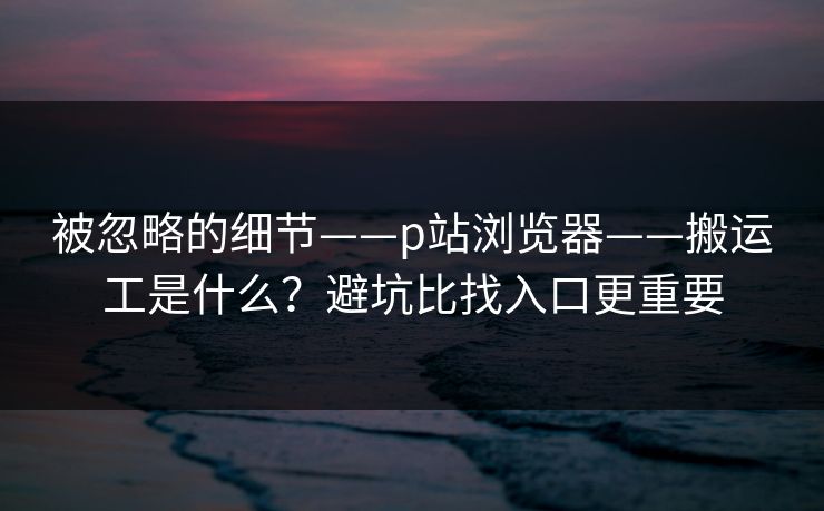 被忽略的细节——p站浏览器——搬运工是什么？避坑比找入口更重要