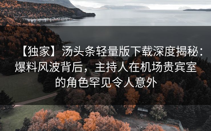 【独家】汤头条轻量版下载深度揭秘：爆料风波背后，主持人在机场贵宾室的角色罕见令人意外