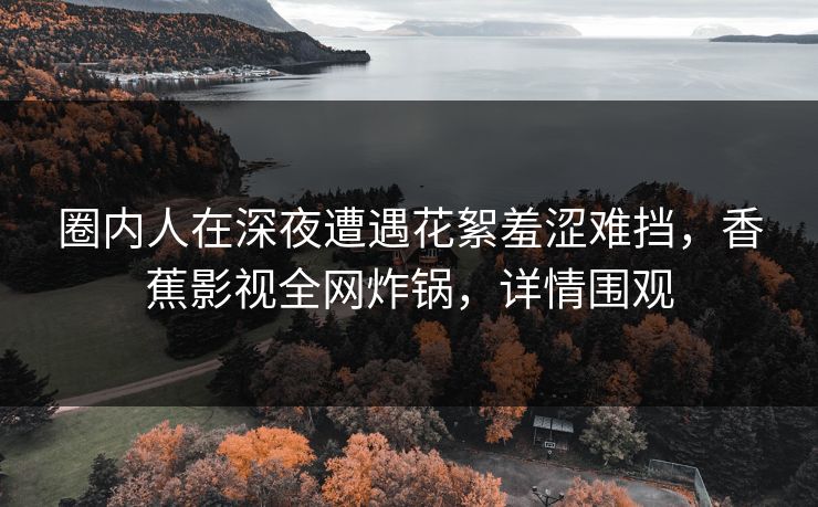 圈内人在深夜遭遇花絮羞涩难挡，香蕉影视全网炸锅，详情围观