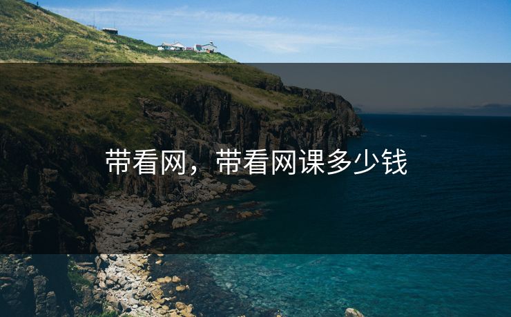 带看网，带看网课多少钱