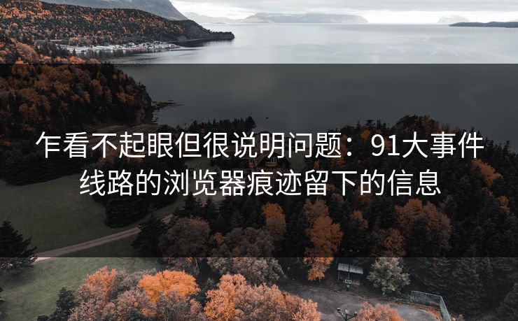 乍看不起眼但很说明问题:91大事件线路的浏览器痕迹留下的信息 乍看不起眼但很说明问题:91大事件线路的浏览器痕迹留下的信息